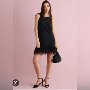 NWT J.Crew Crepe Feather-Trim Shift Dress